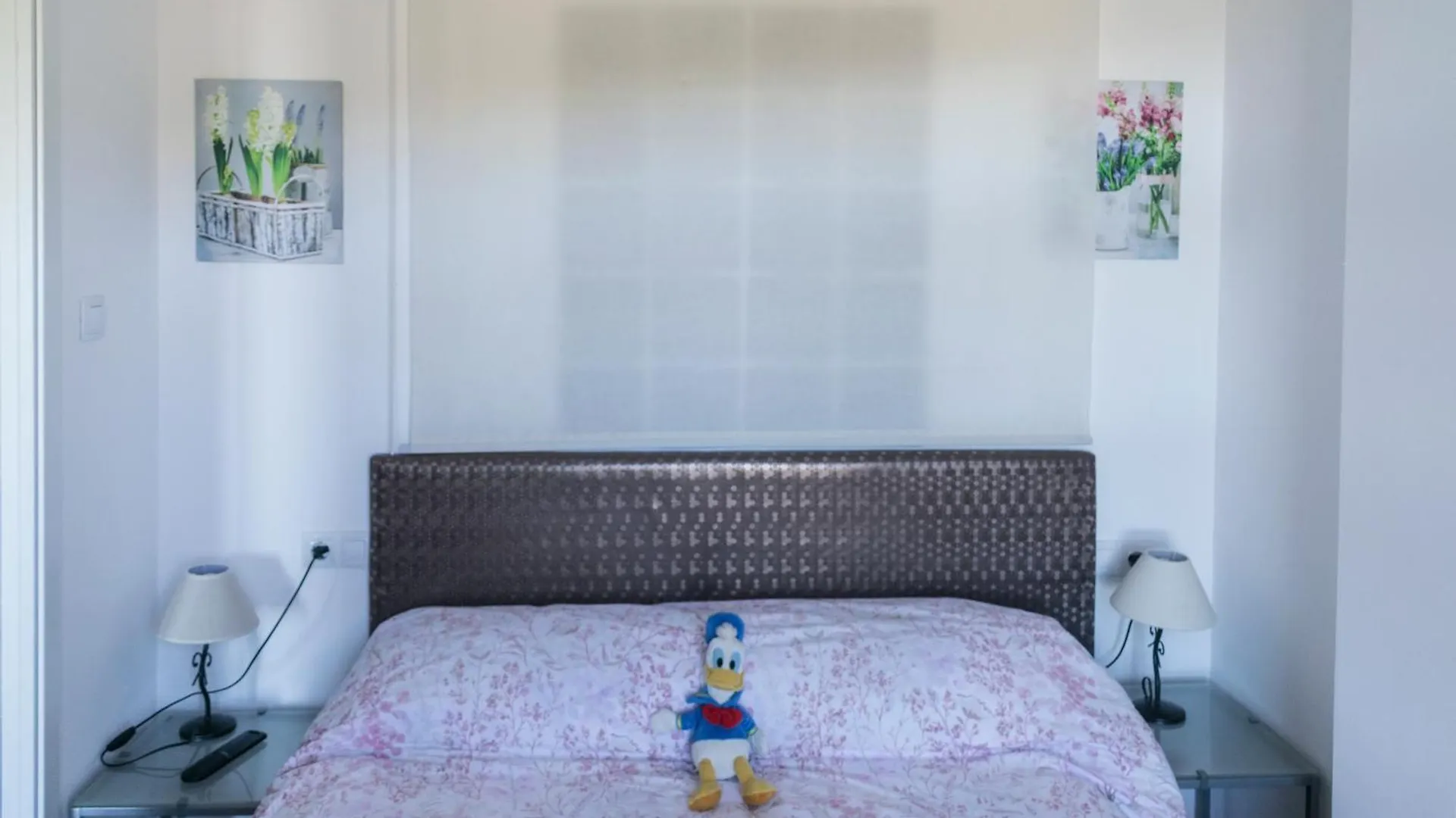 Apartamento ERASE OTRA VEZ en sierra nevada